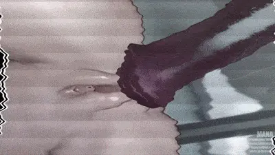 Chaotic Fried Rice 6 (Decensored)